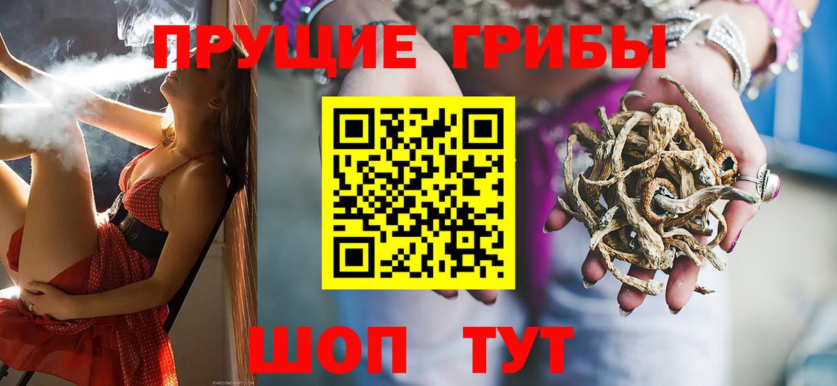 Галлюциногенные грибы мицелий  Вход с VPN  Находка 